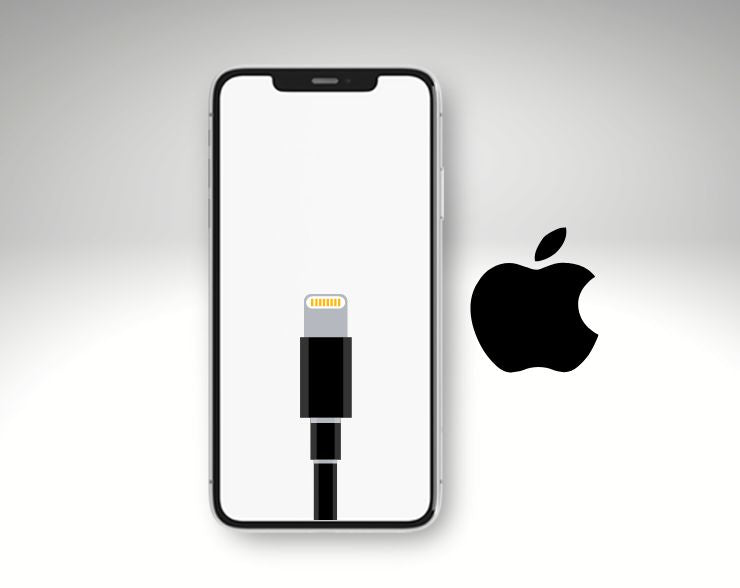 Sostituzione Dock Di Ricarica iPhone 7 Plus