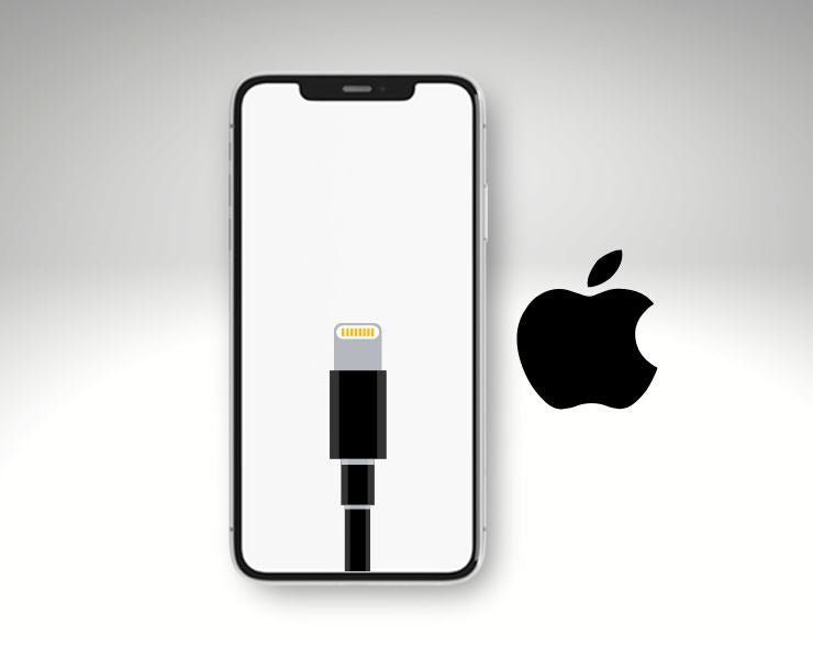 Sostituzione Dock Di Ricarica iPhone 11 Pro Max