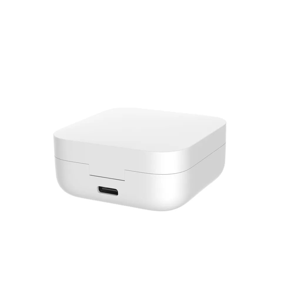 Xiaomi Mi True Wireless Earphones 2 Basic - Model: Twsej08Wm
